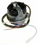 Hood Motors - C00268849 480122100818 Motor [Whirlpool Indesit]