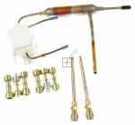 Hisense Gorenje Valve - 712181 Valve+filter Lokring Assembly 230v